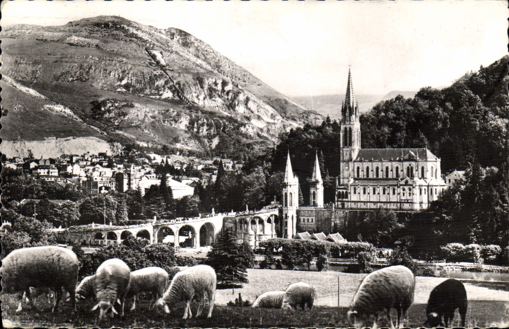 CPA Lourdes la Basilique et le Pic du Jer 