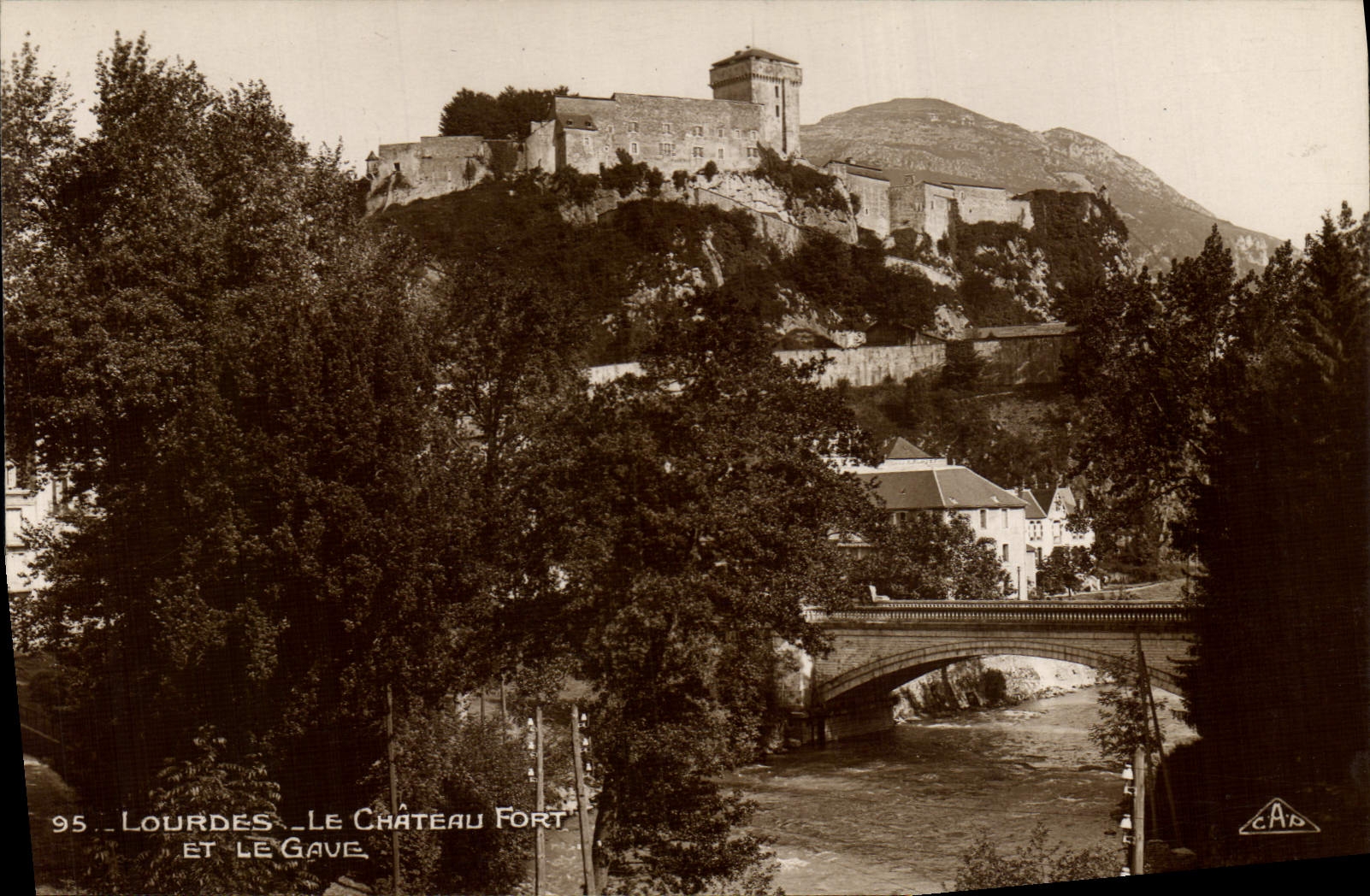 CPA Lourdes le Chateau Fort et le Gave 