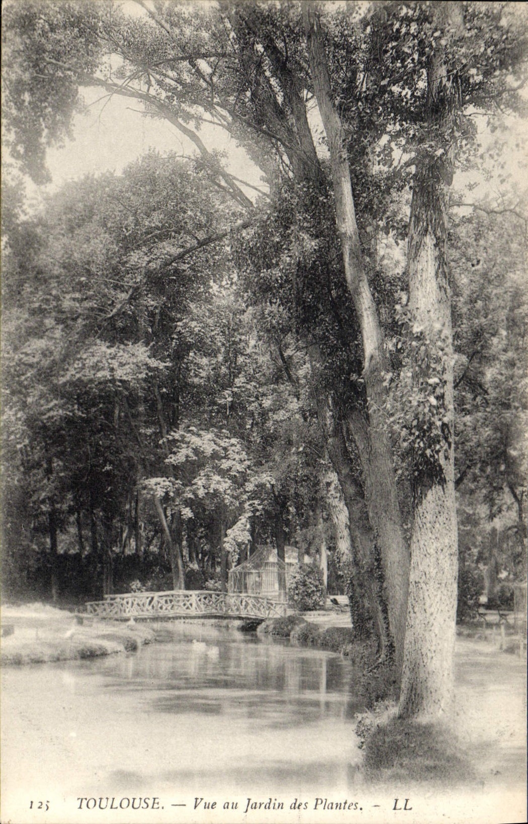 CPA Toulouse Vue du Jardins des Plantes 