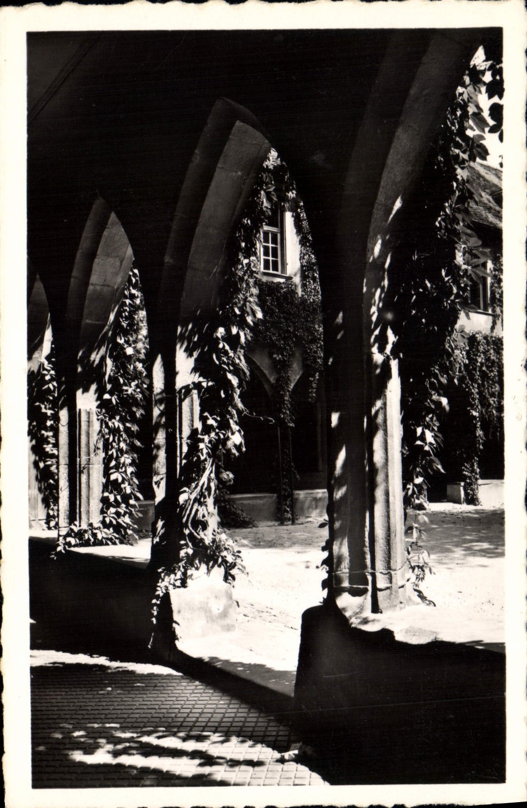 CPA Vieux Colmar Cloitre des Dominicains