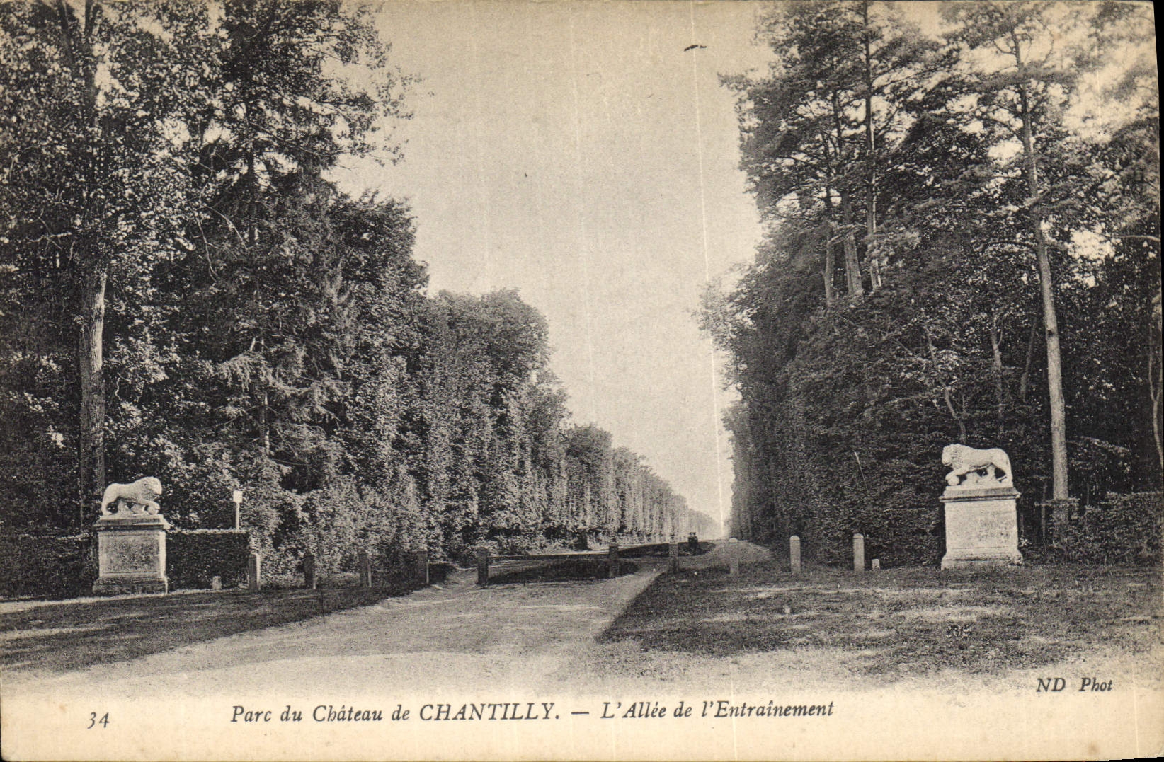 CPA Parc du Chateau de Chantilly L'Allee dl'Entrainement