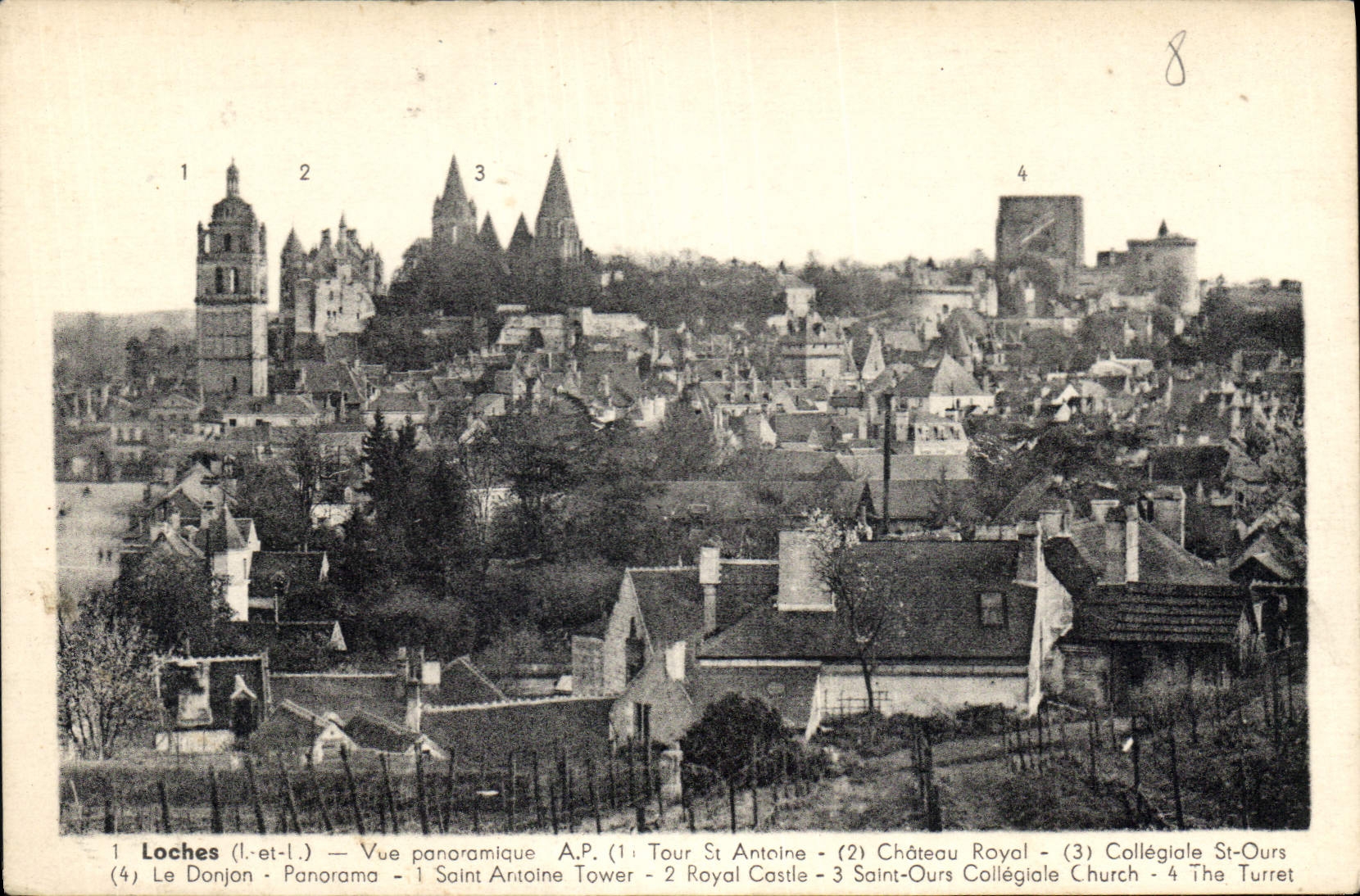 CPA Loches Vue panoramique 
