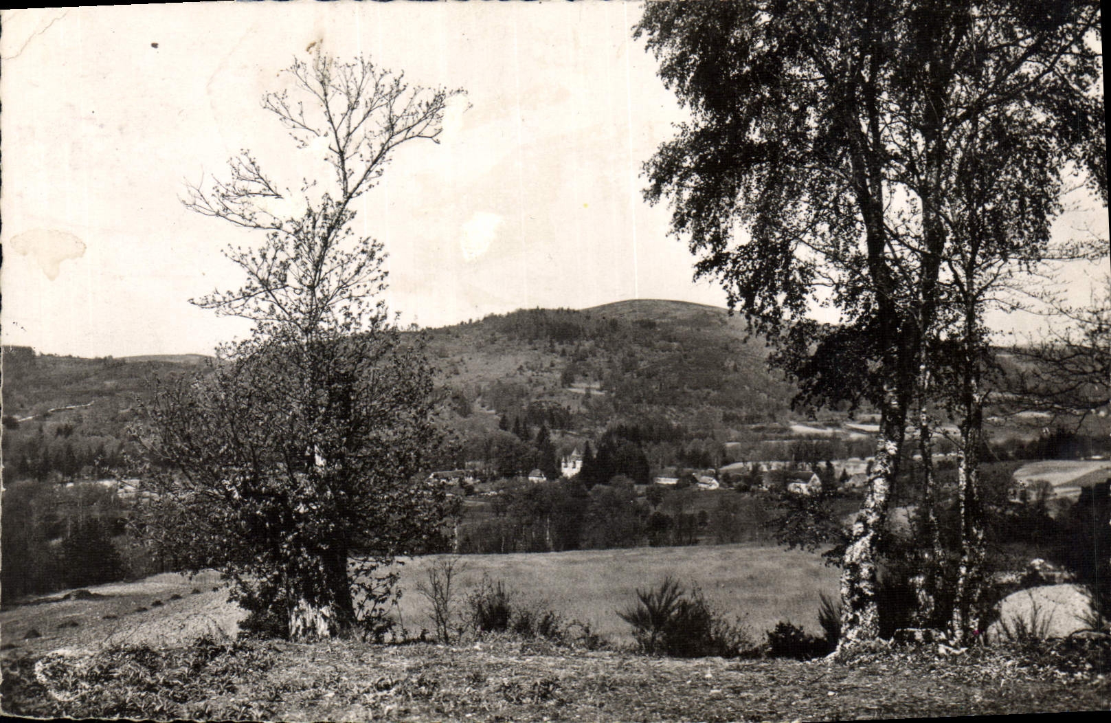 CPA Limousin Pittoresque Sauran 