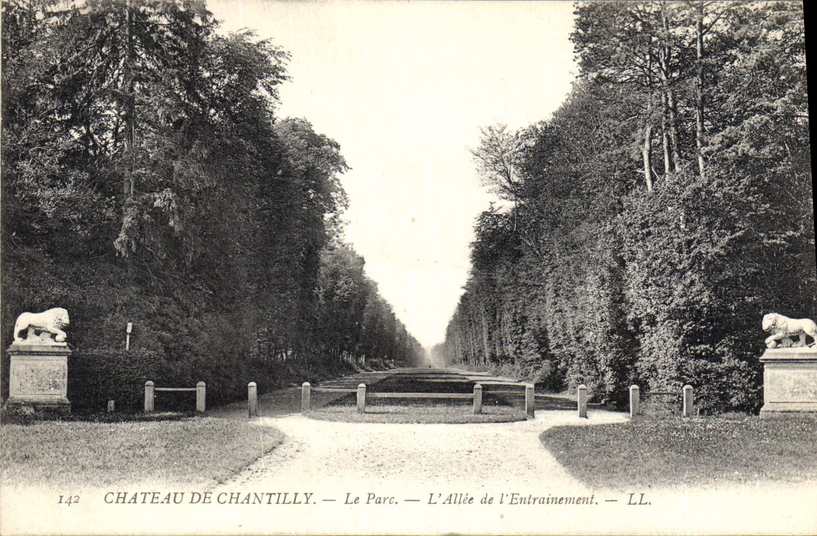CPA Chateau de Chantilly le Parc l'Allee de l'Entrainement 