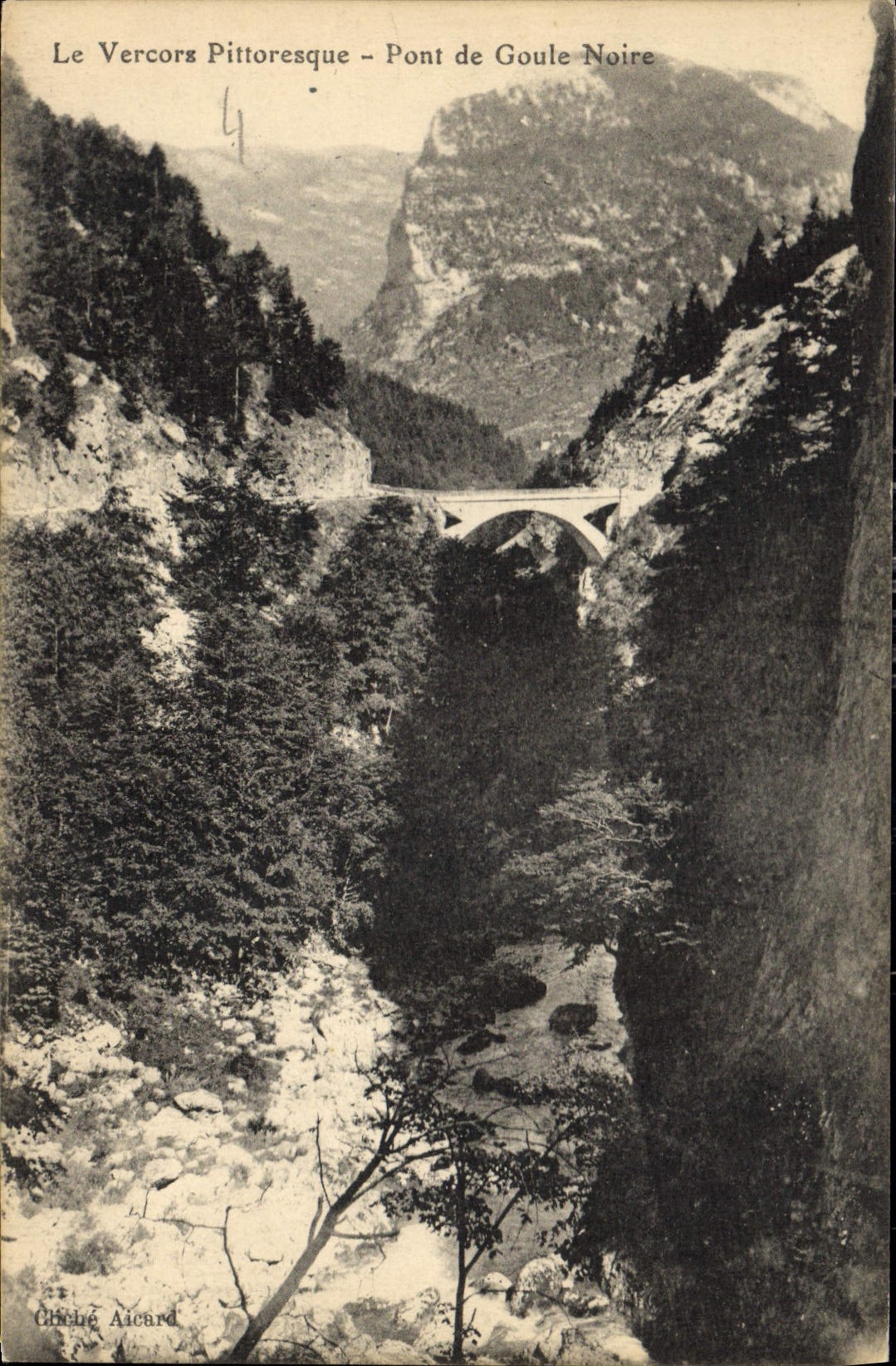 CPA Le Vercors Pittoresque Pont de Goute Noire