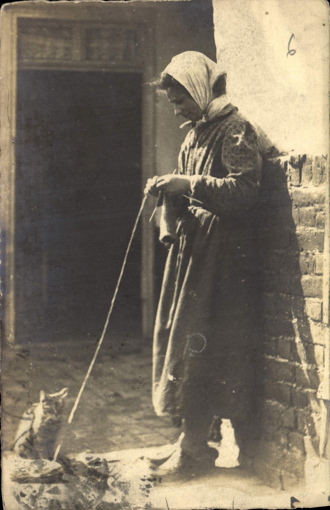 CARTE PHOTO Femme Chat chaton