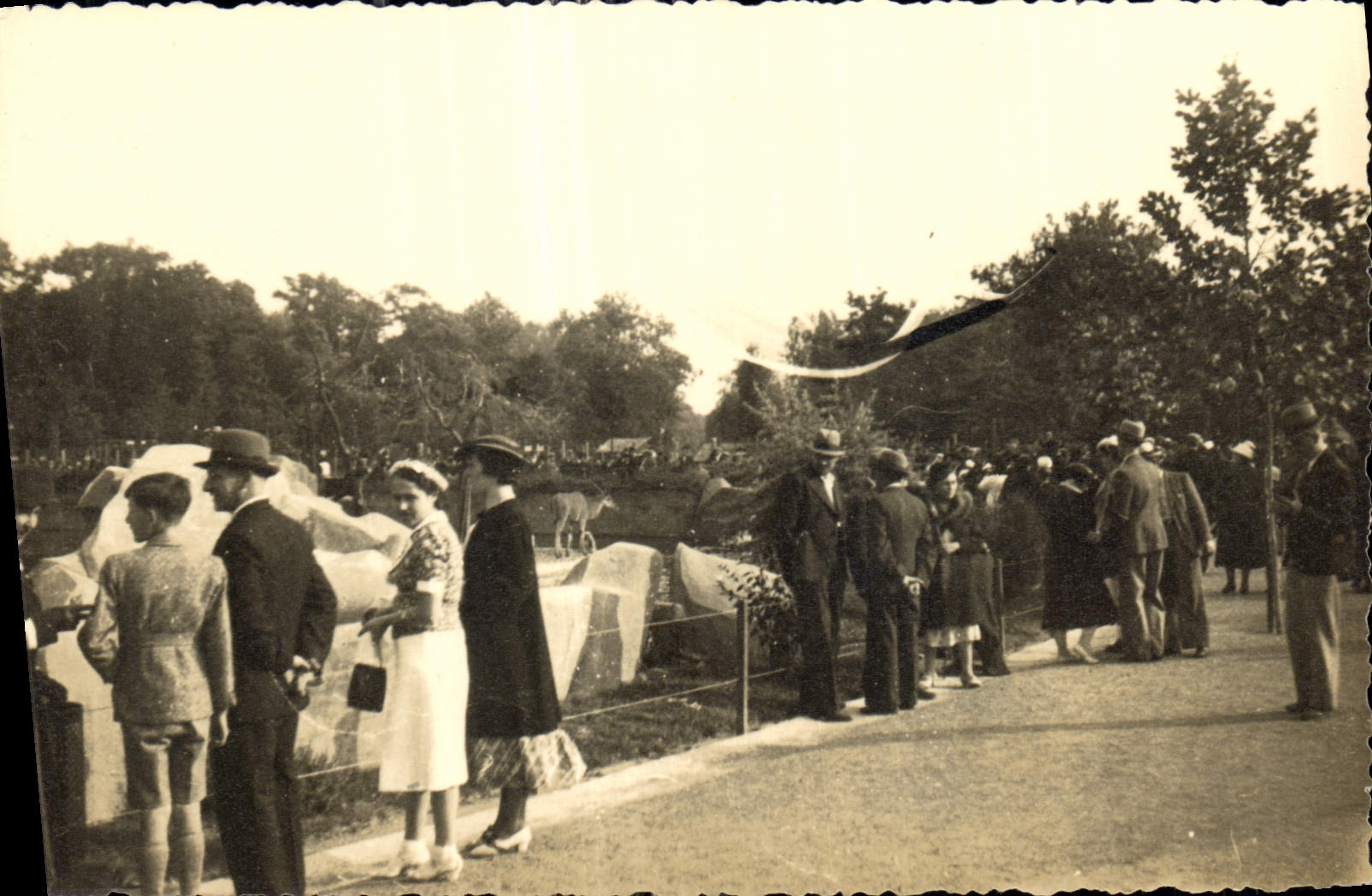 CARTE PHOTO Paris Zoo de Vincennes
