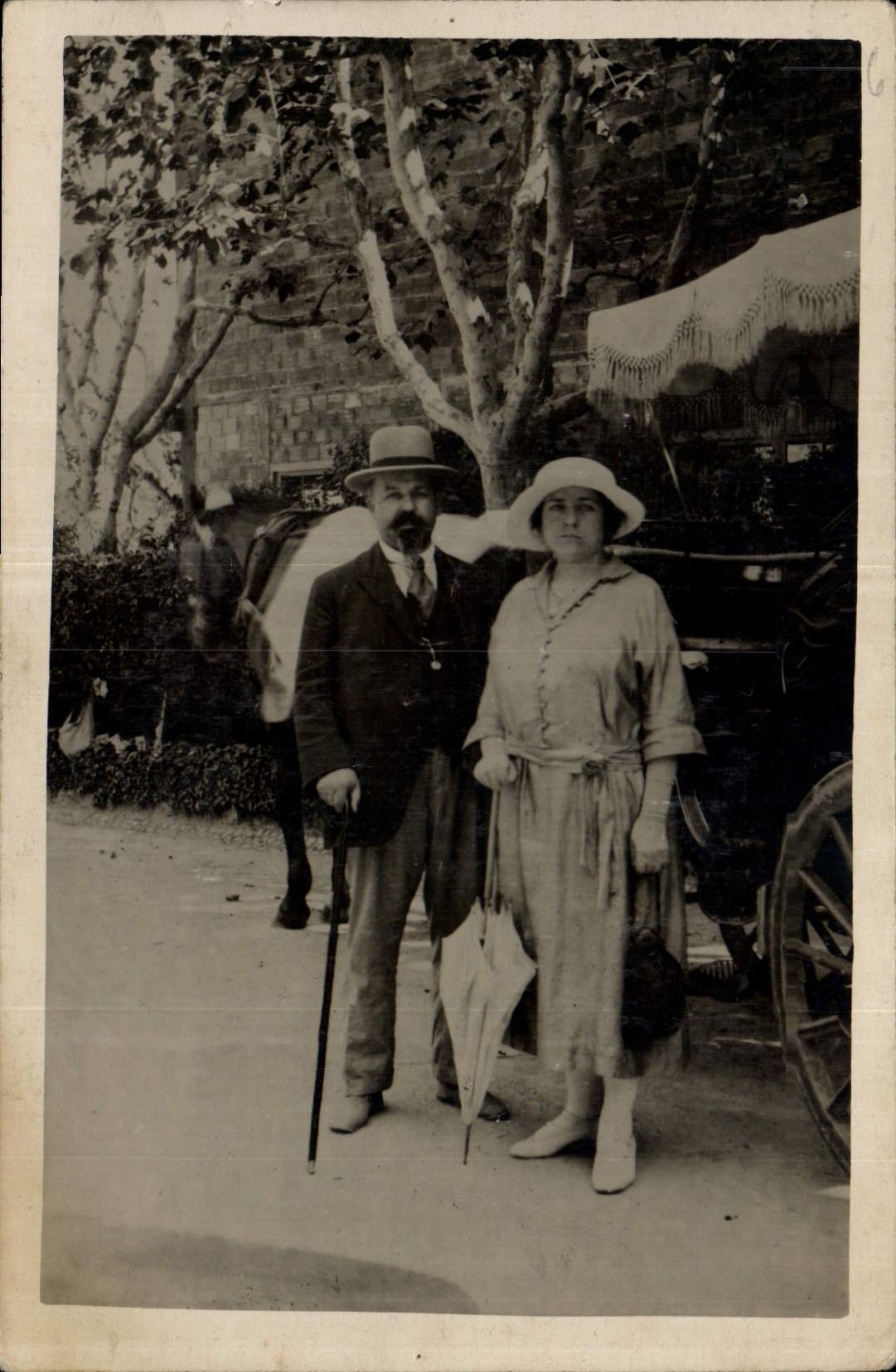 CARTE PHOTO Couple Caleche Cheval