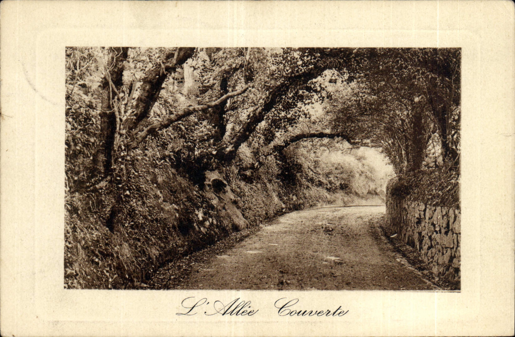 CPA l'Allee Couverte 