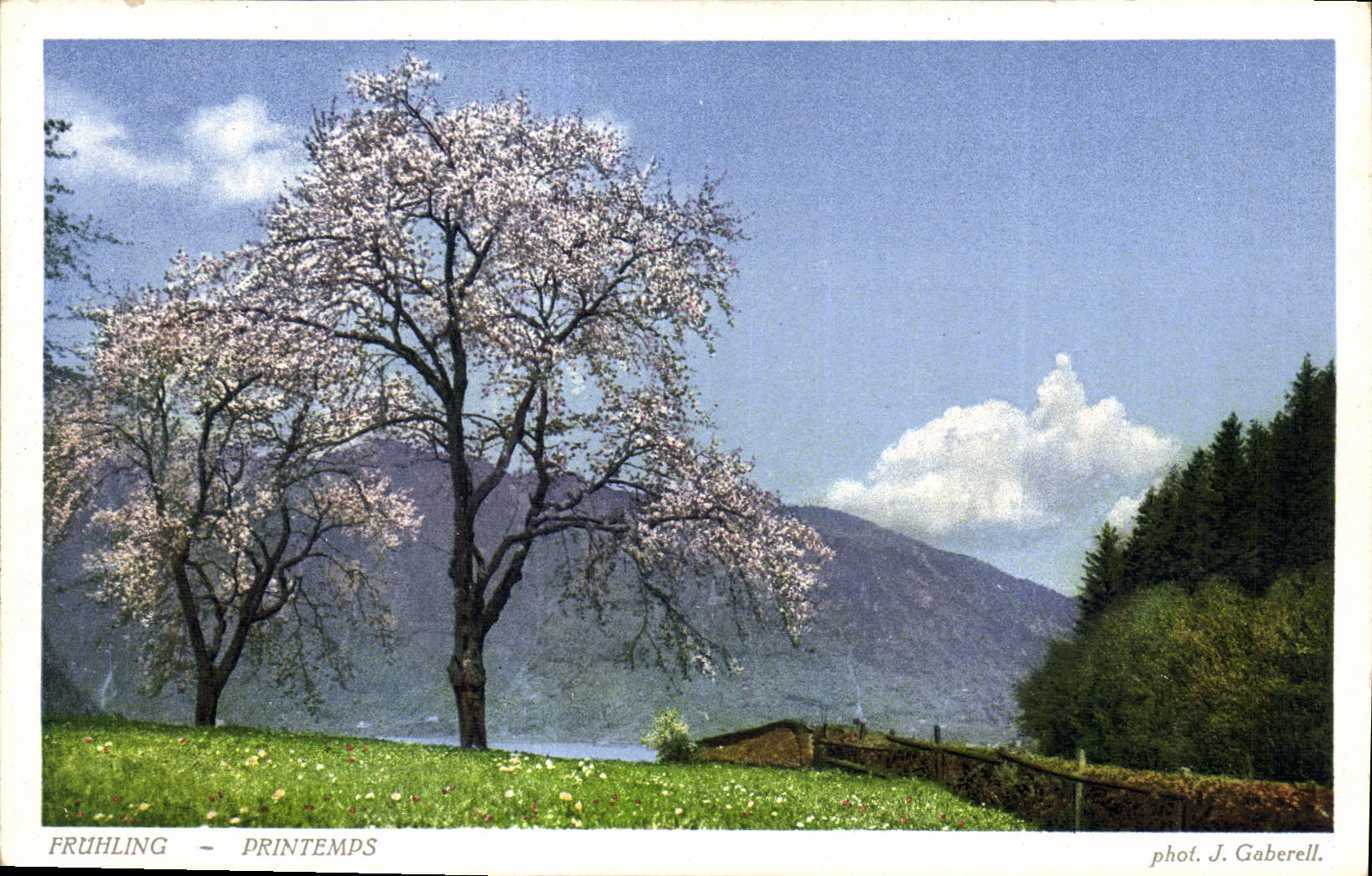 CPA Fruhling Printemps 