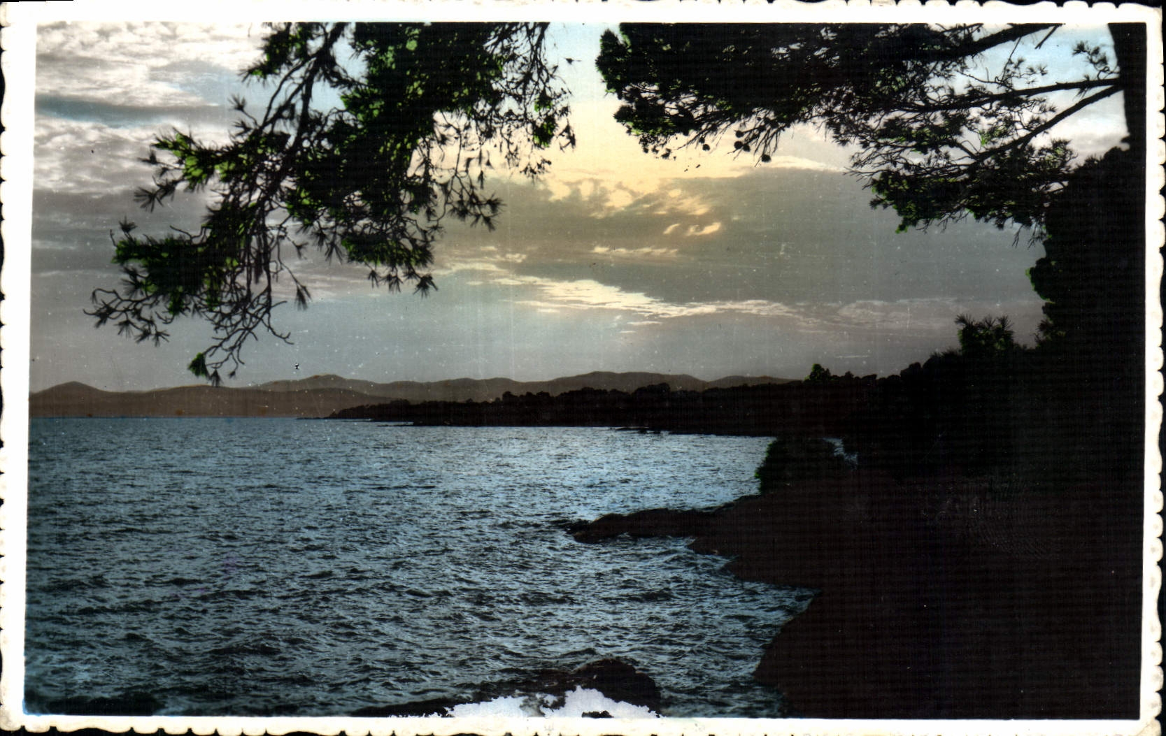 CPA La Cote d'Azur Coucher de soleil 