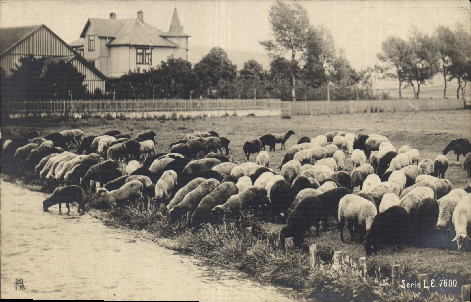 CPA Moutons