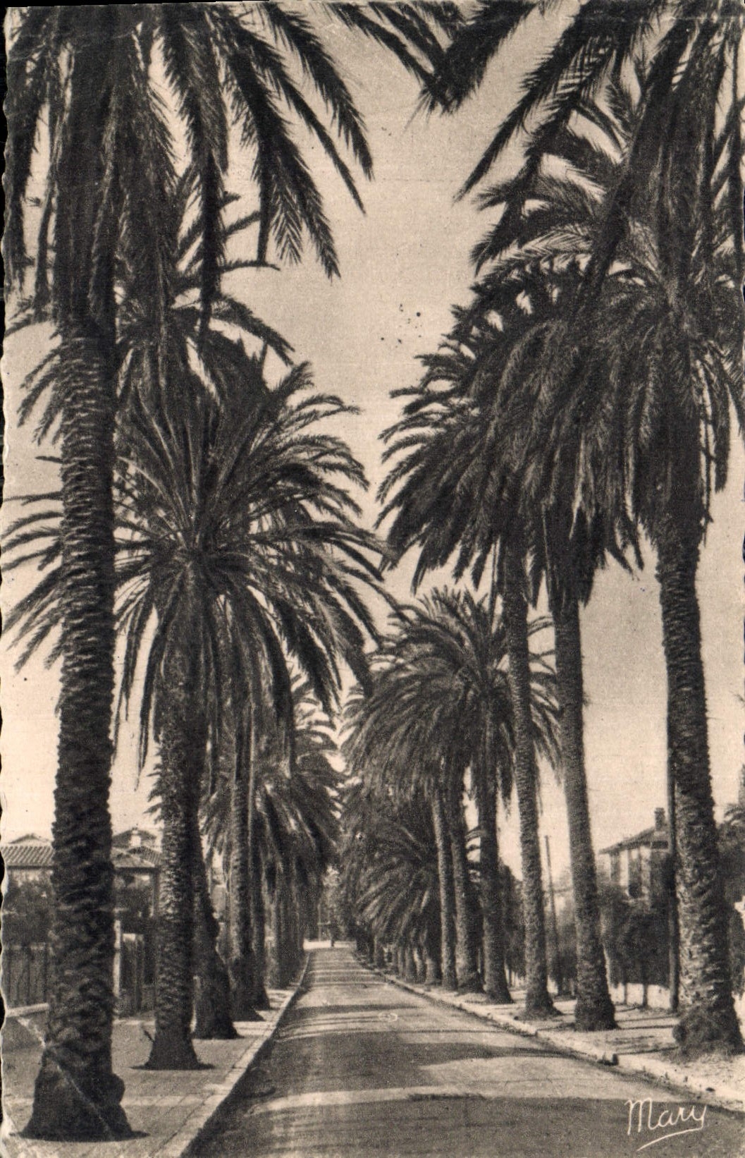 CPA Hyeres Avenue Beauregard 