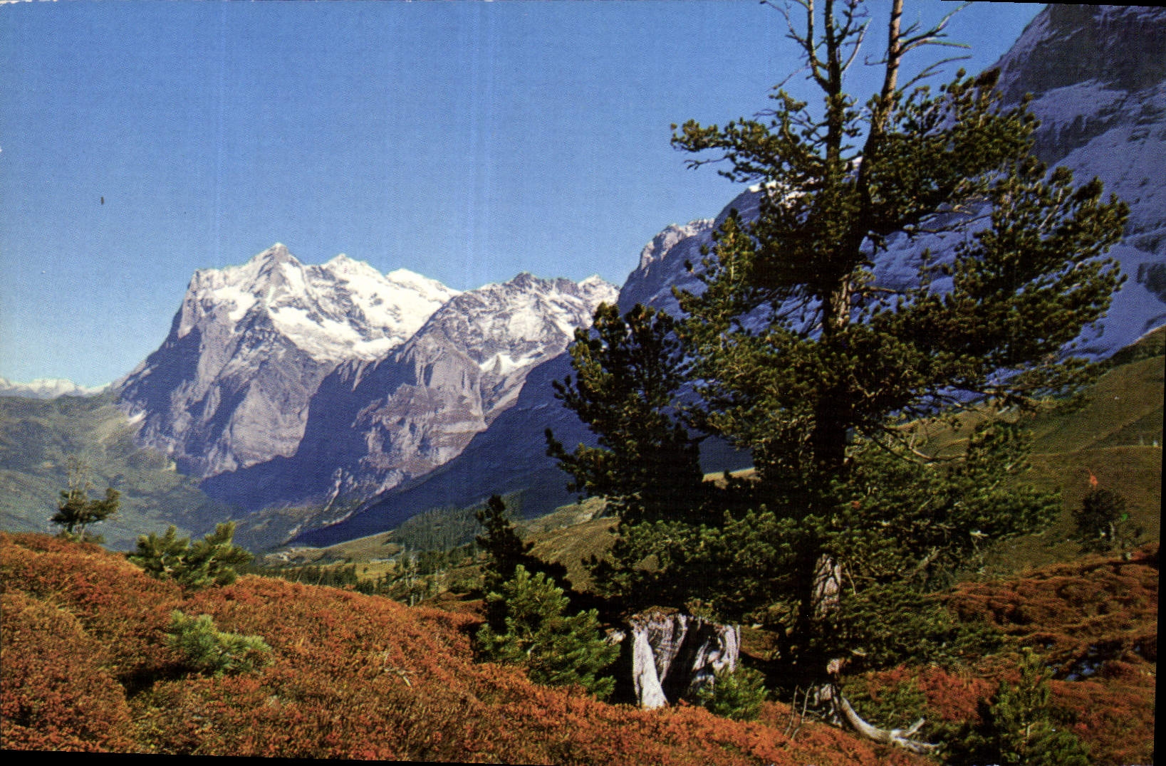 CPM Kleine Scheidegg Wetterhorn 