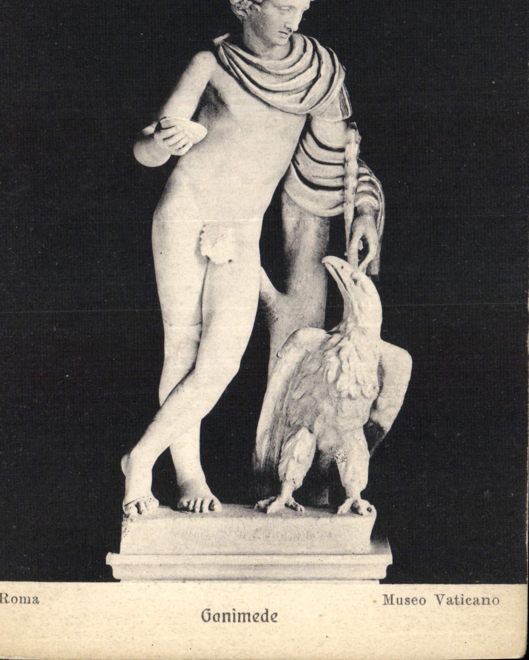 CPA Roma Ganimede Museo Vaticano 