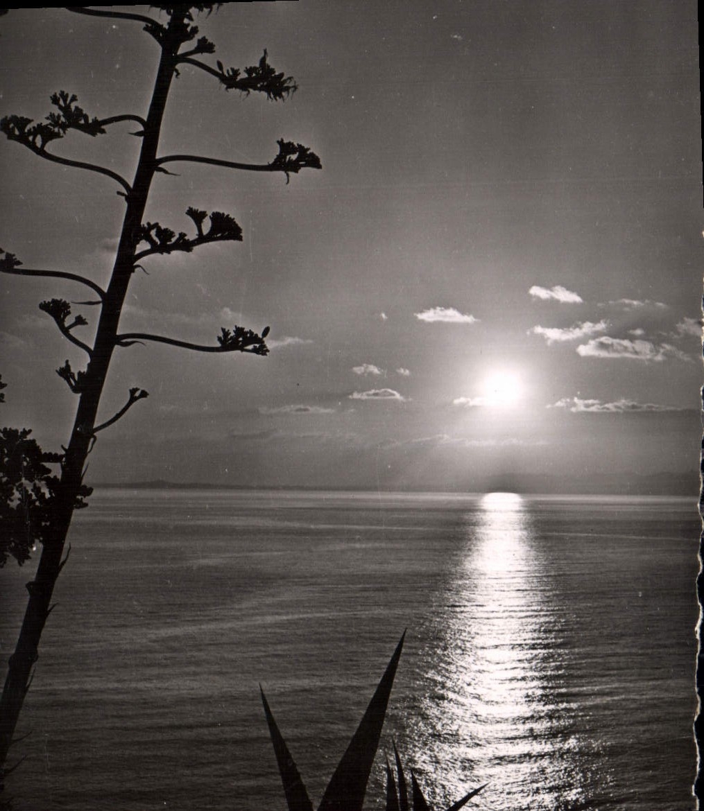 CPA La Cote d'Azur Coucher de soleil