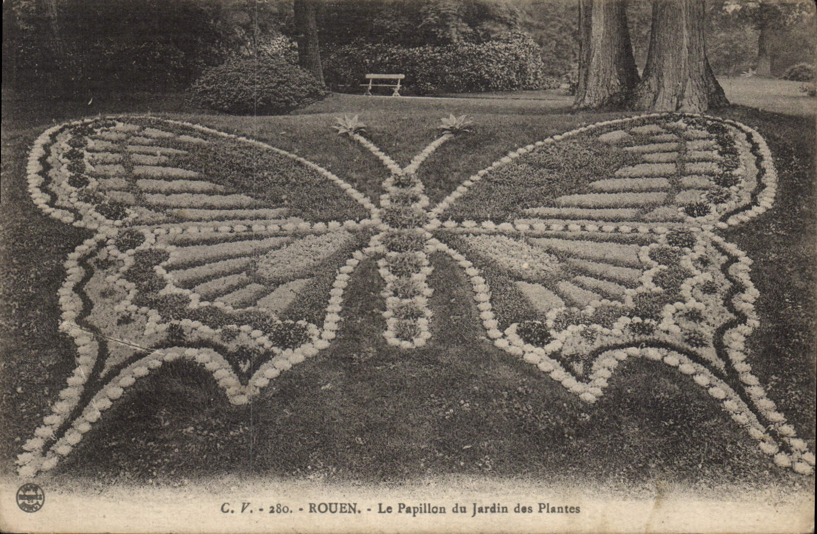 CPA Rouen Le Papillon du Jardin des Plantes 