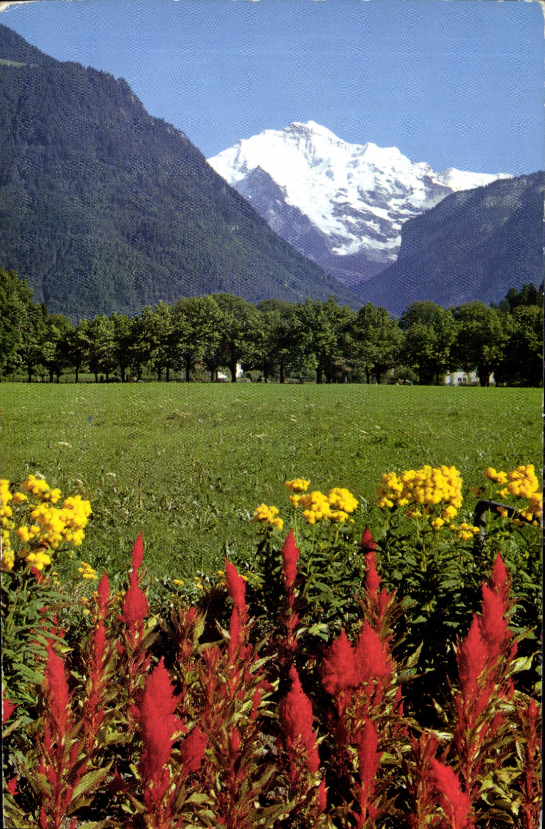 CPA Interlaken Jungfrau 