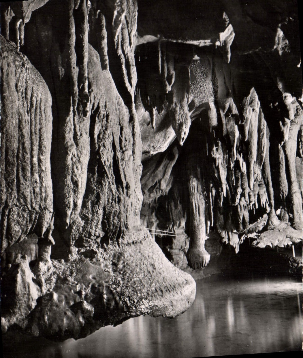 CPA Grottes de Betharram 
