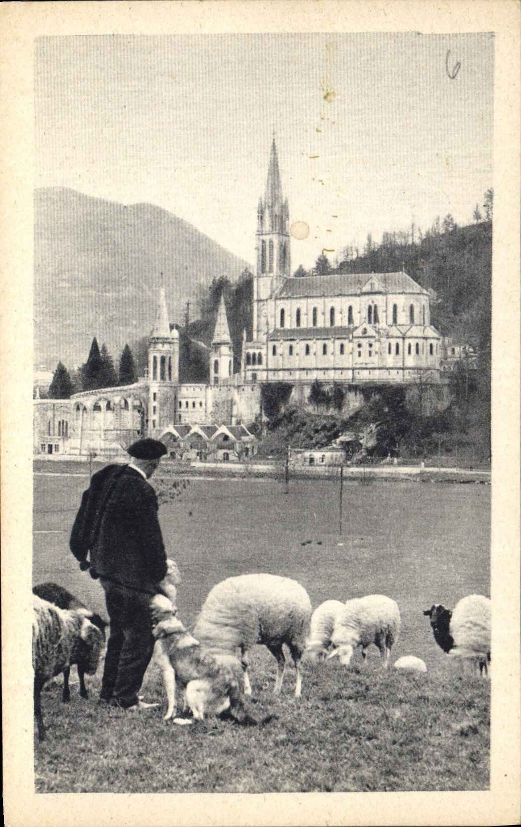 CPA Lourdes La Basilique Berger Moutons