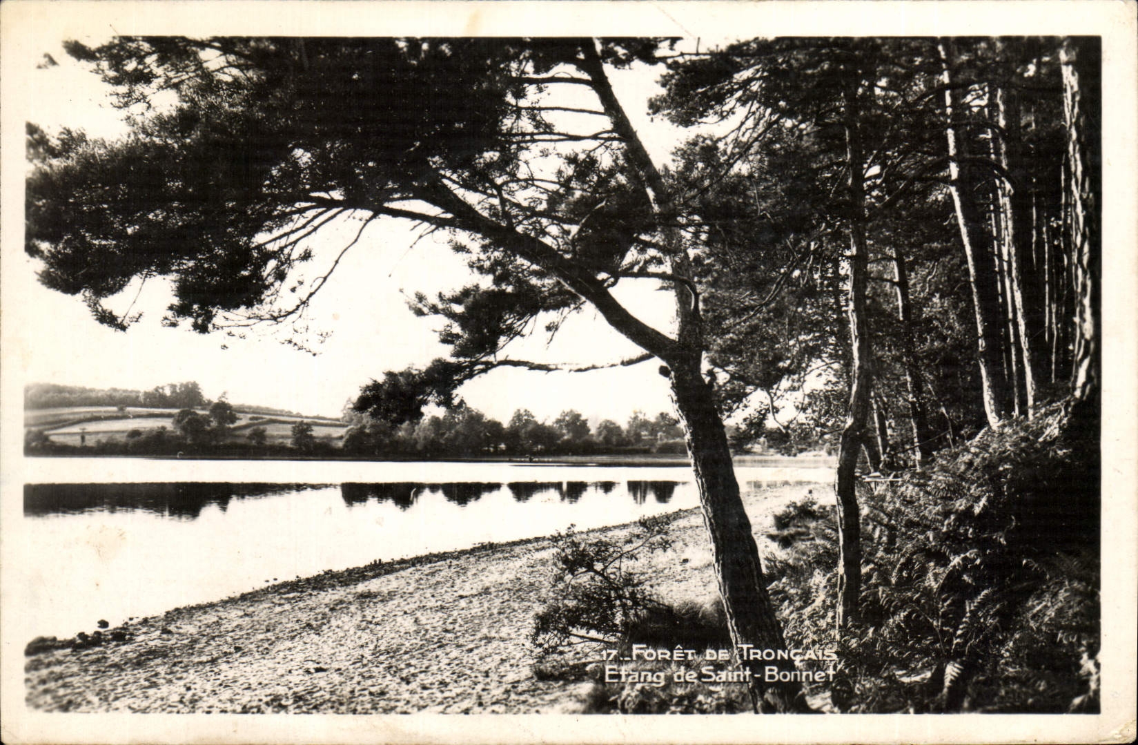 CPA Foret de Troncais Etang de Saint Bonnet 