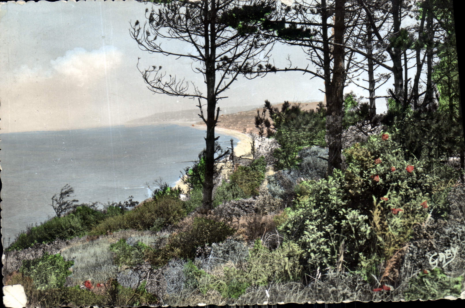 CPA Villers sur Mer Calvados Vue panoramique a travers le Pins