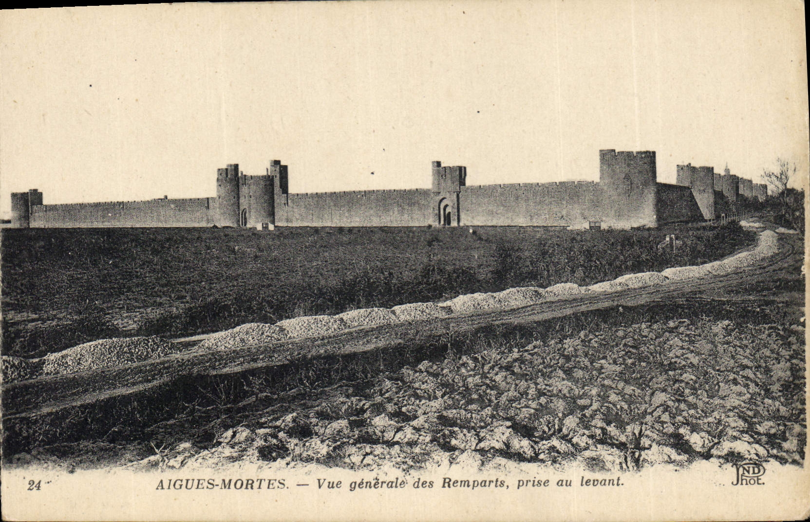 CPA Aigues Mortes Vue generale des Remparts prise au levant