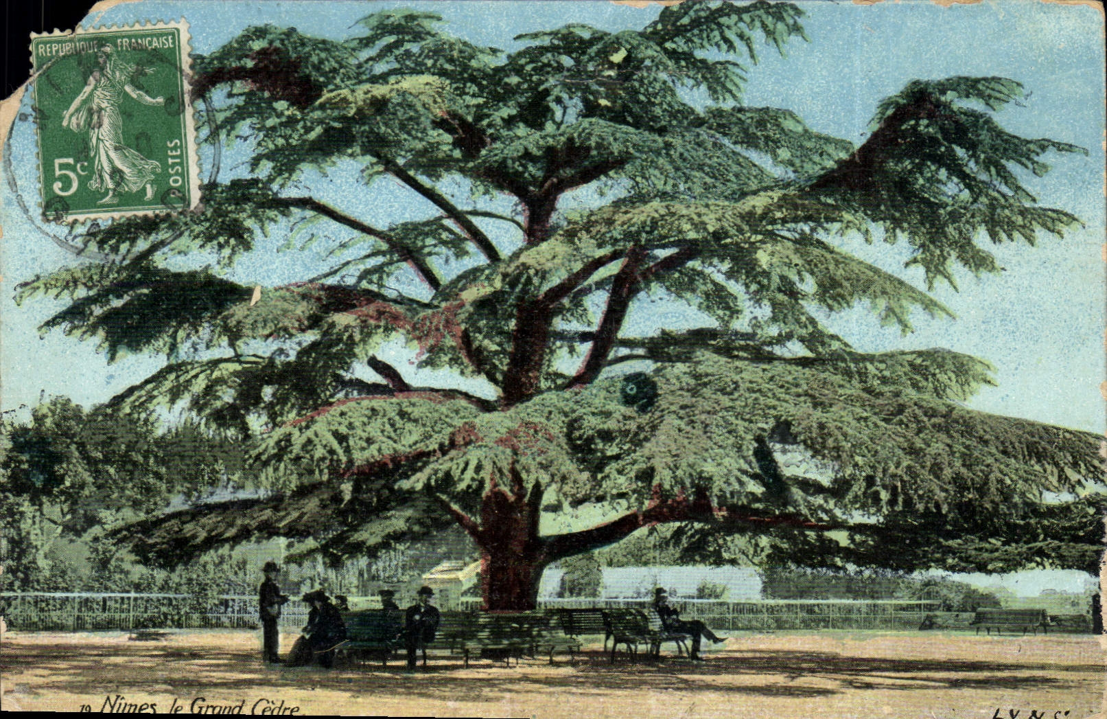 CPA Nimes le Grand Cedre 