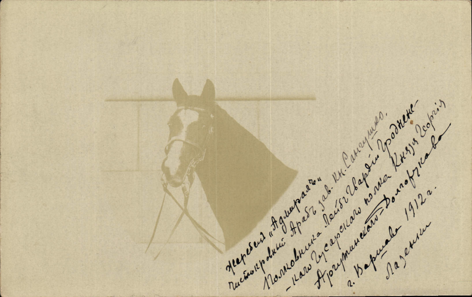 CARTE PHOTO Cheval