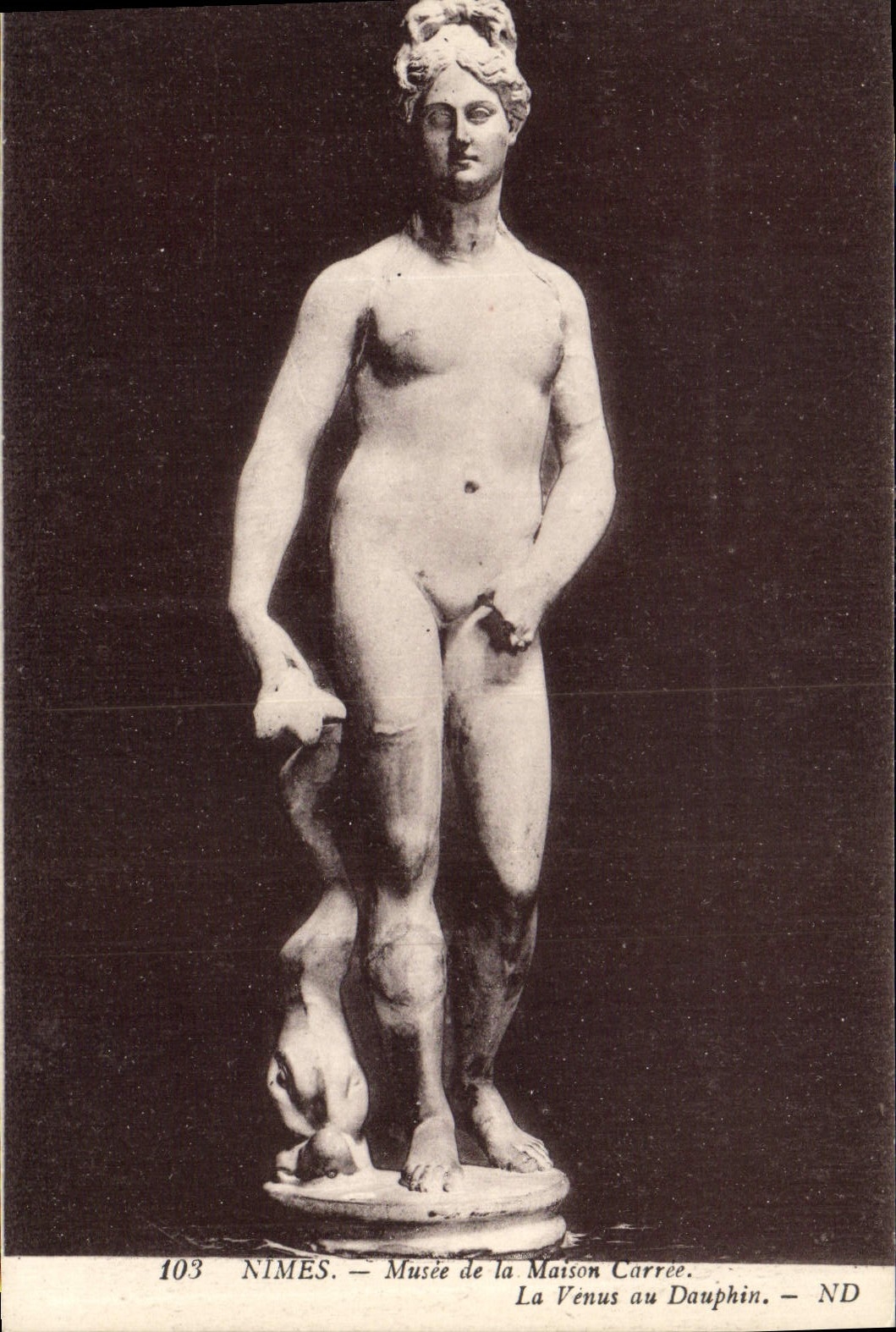 CPA Nimes Musee de la Maison Carree La Venus au Dauphin