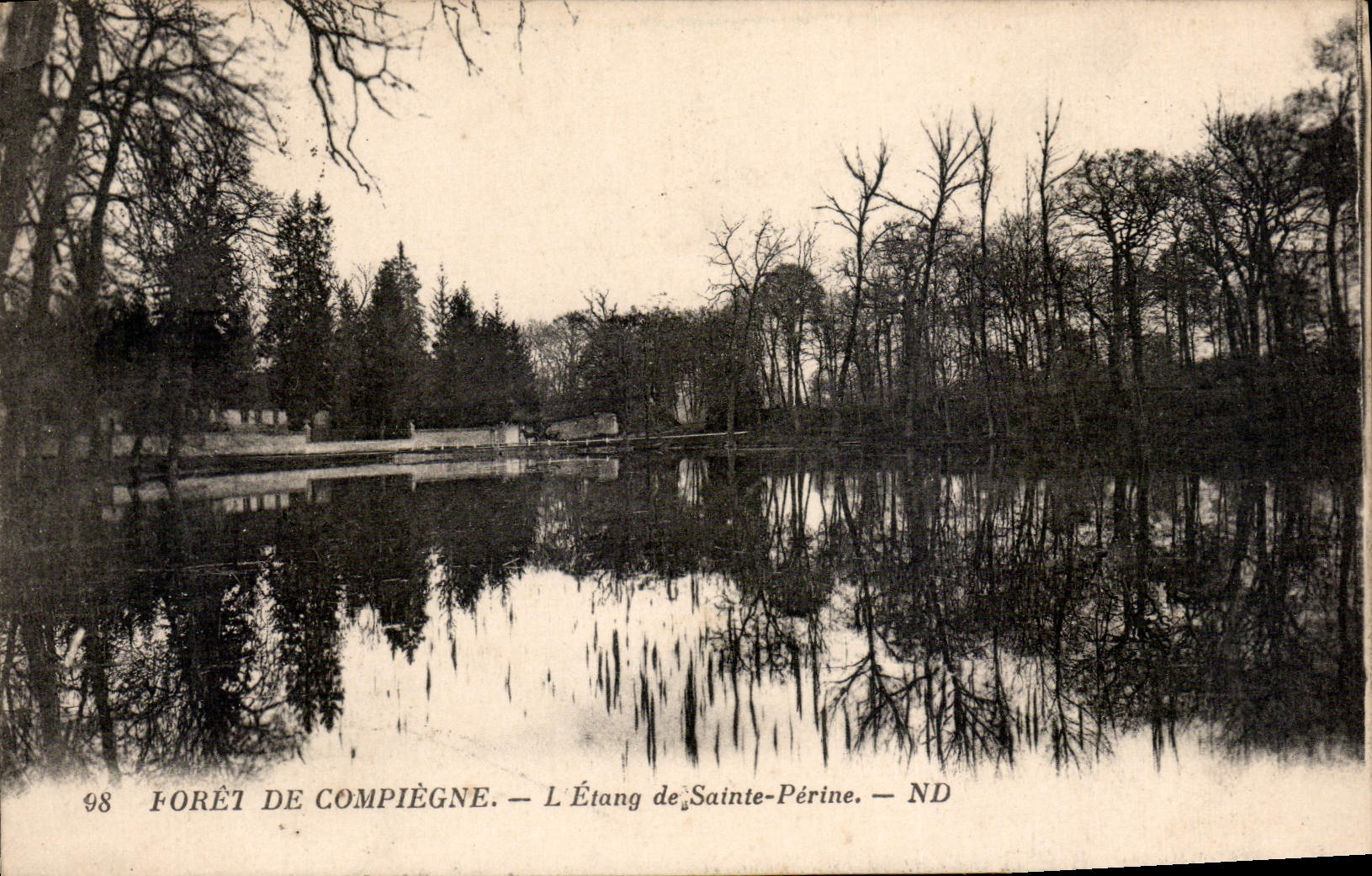 CPA Foret de Compiegne L'Etang de Sainte Perine 
