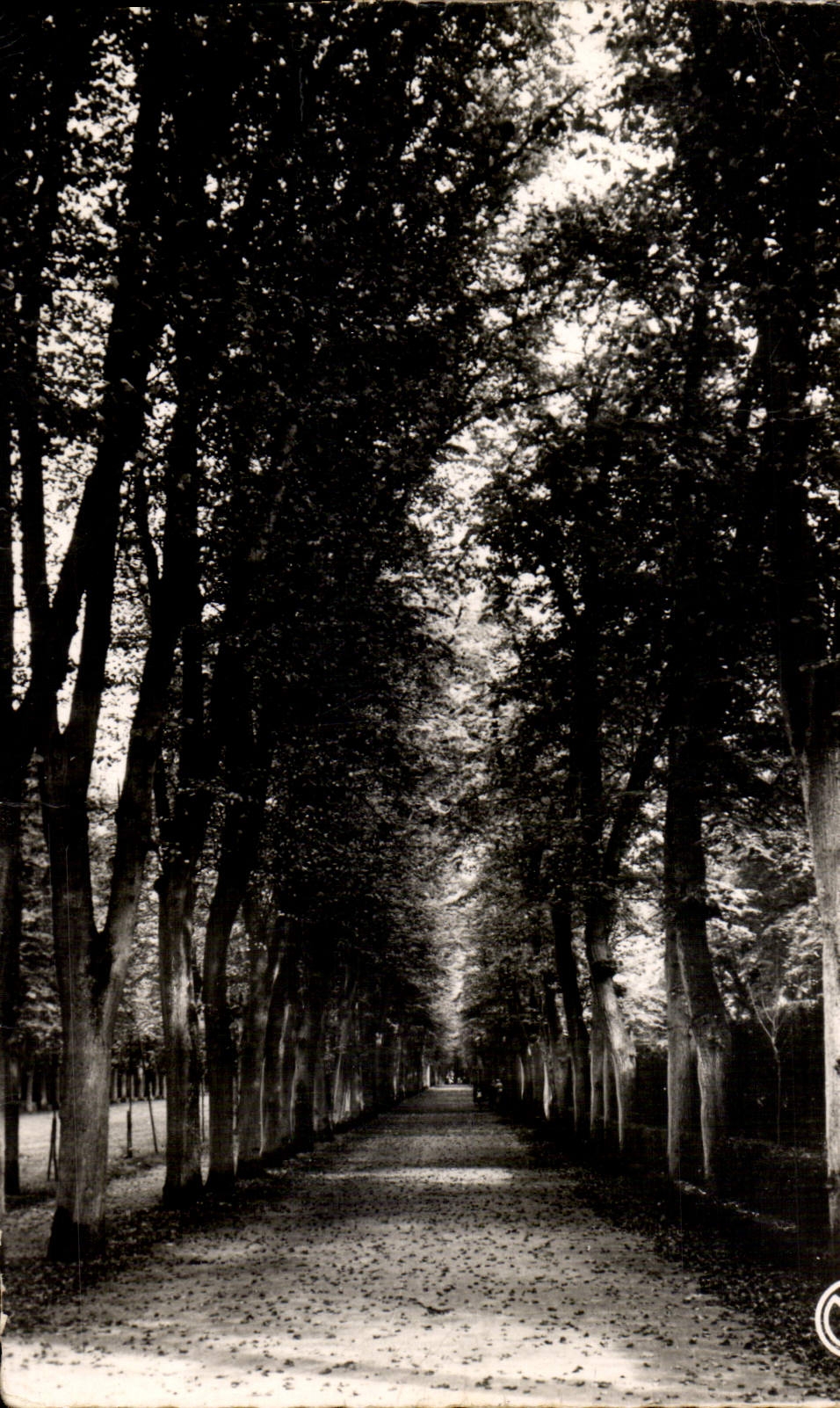 CPA Compiegne Oise un coin du parc du Palais 