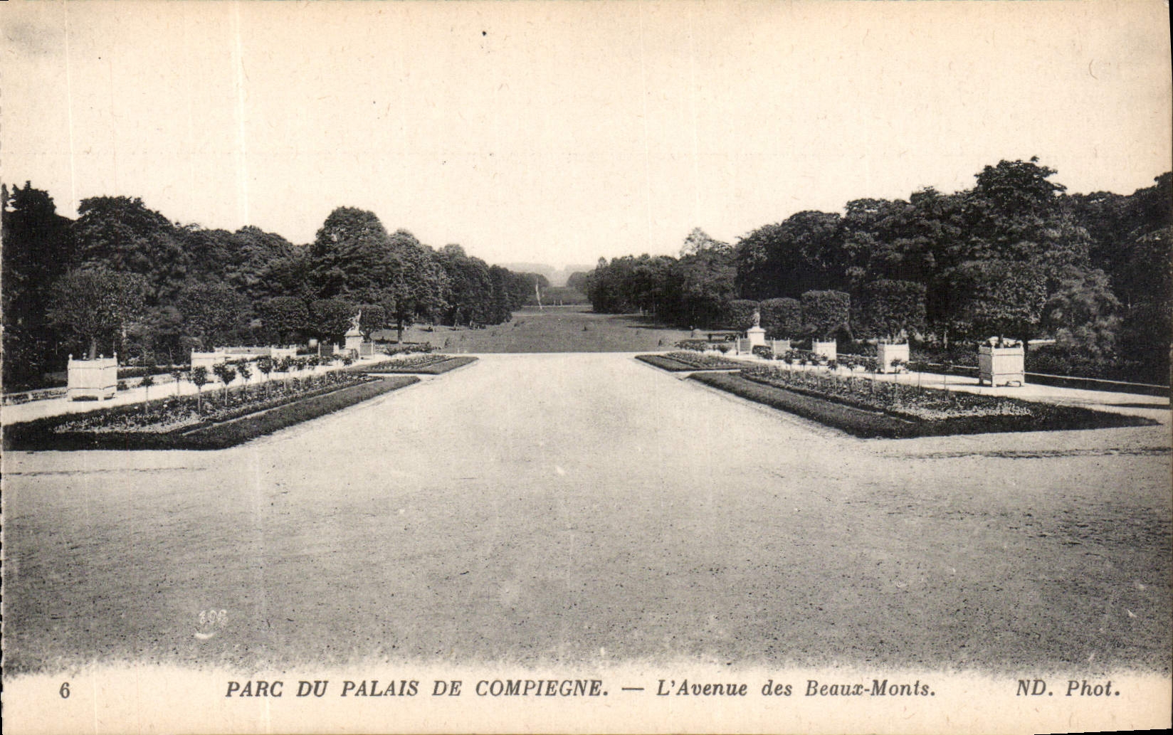 CPA Parc du Palais de Compiegne L'Avenue des Beaux Monts 