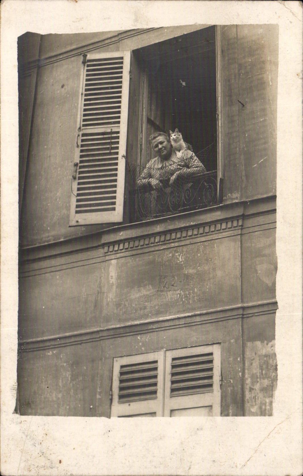 CARTE PHOTO Femme Chat