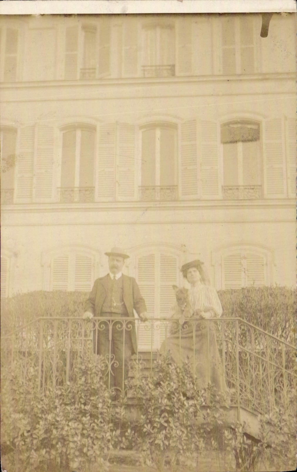 CARTE PHOTO Femme Chien