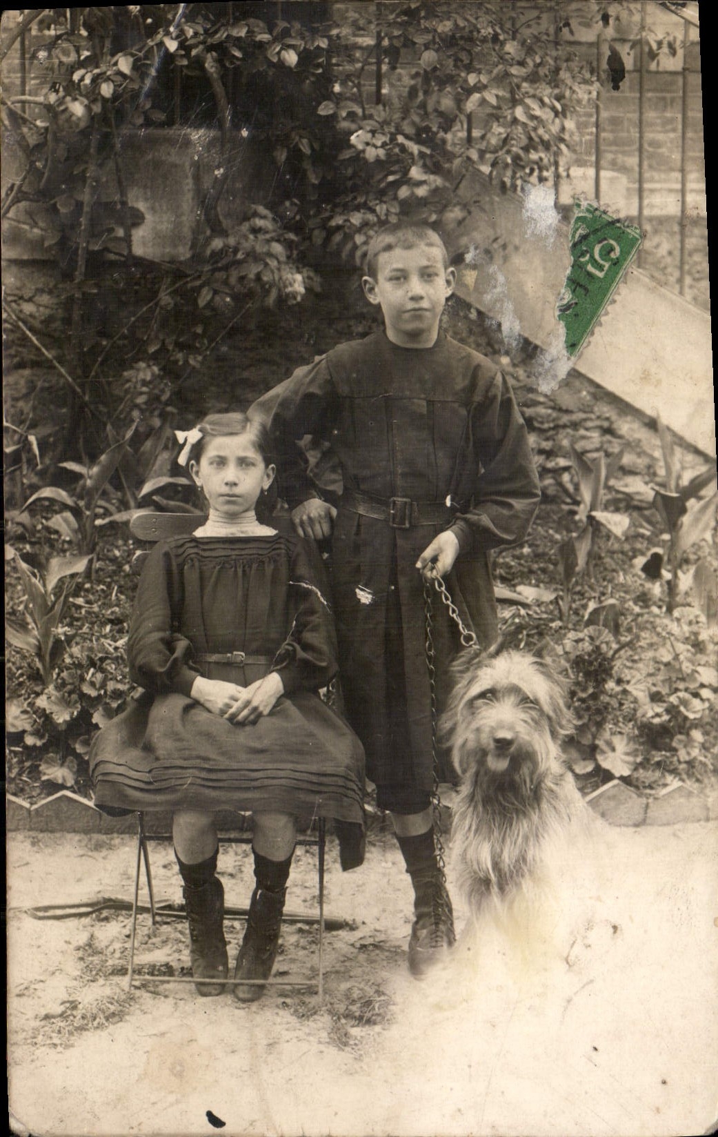 CARTE PHOTO Enfants Chien 