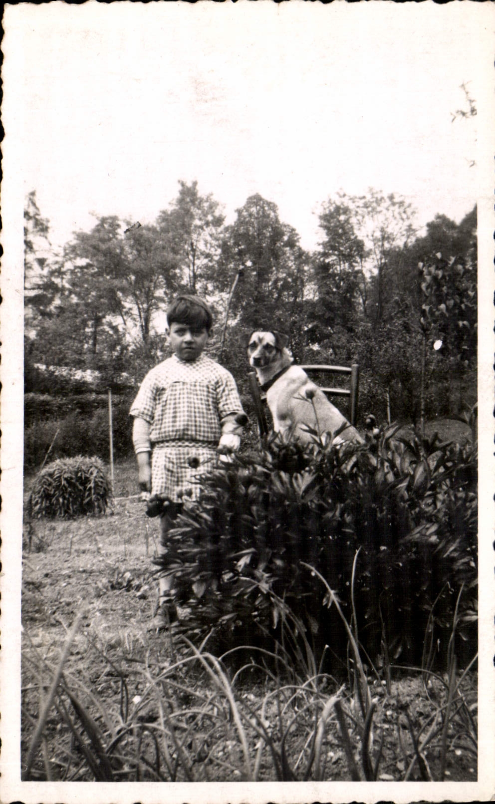 CARTE PHOTO Enfant Chien