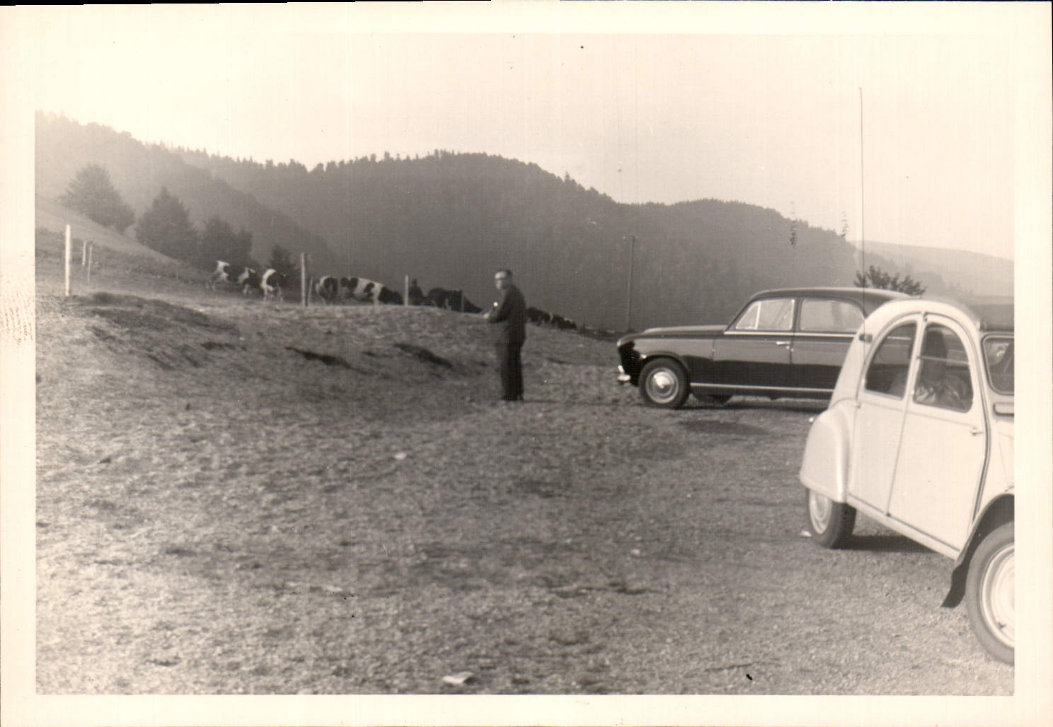 Photo Col des Bagenettes 1967 Citroen 2 CV Vaches
