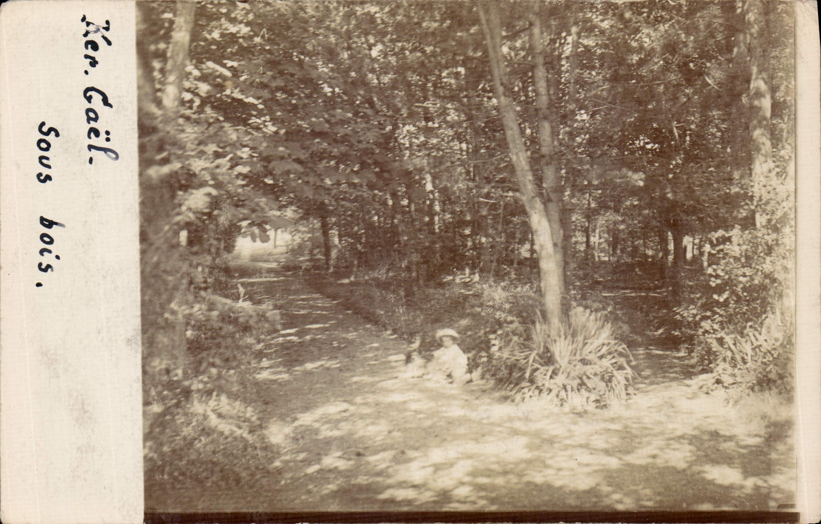 CARTE PHOTO Ker Gael Sous Bois