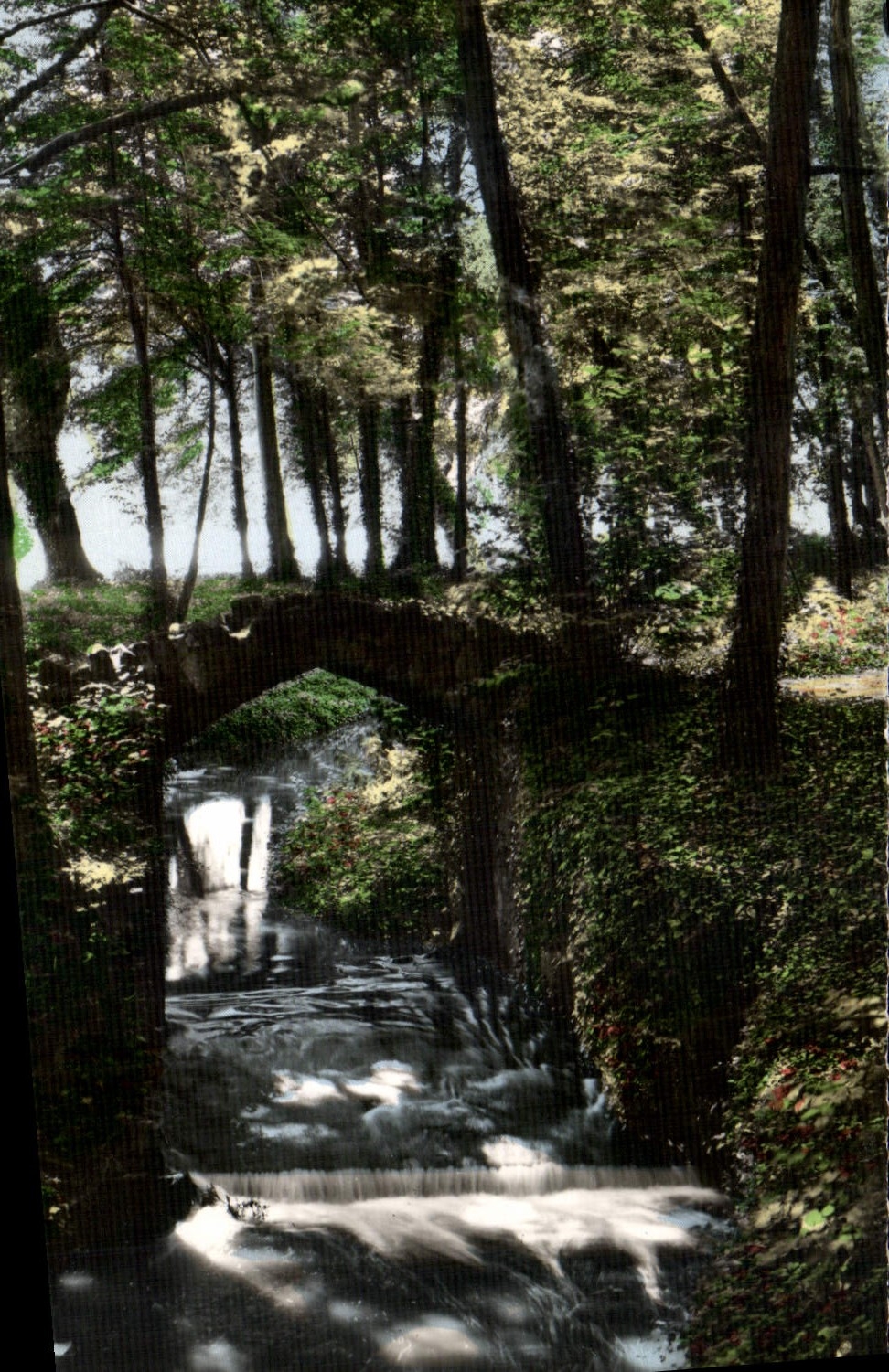 CPA Ermenonville Oise Le Petit Pont de la Launette