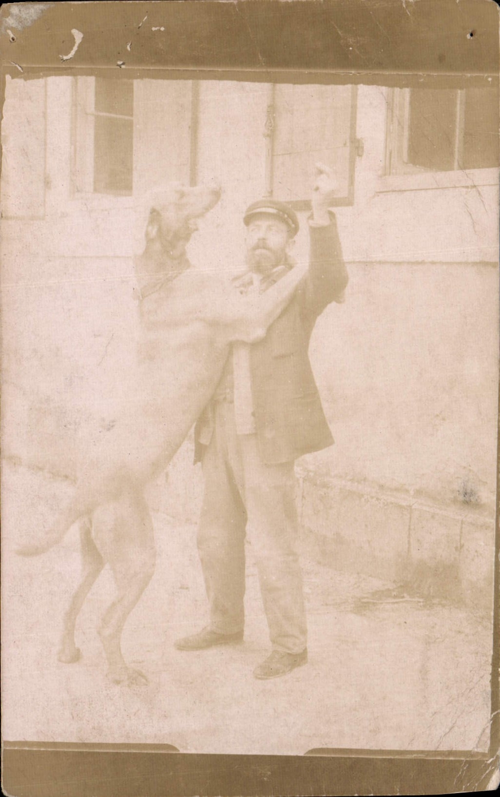 CARTE PHOTO Homme Chien Dogue