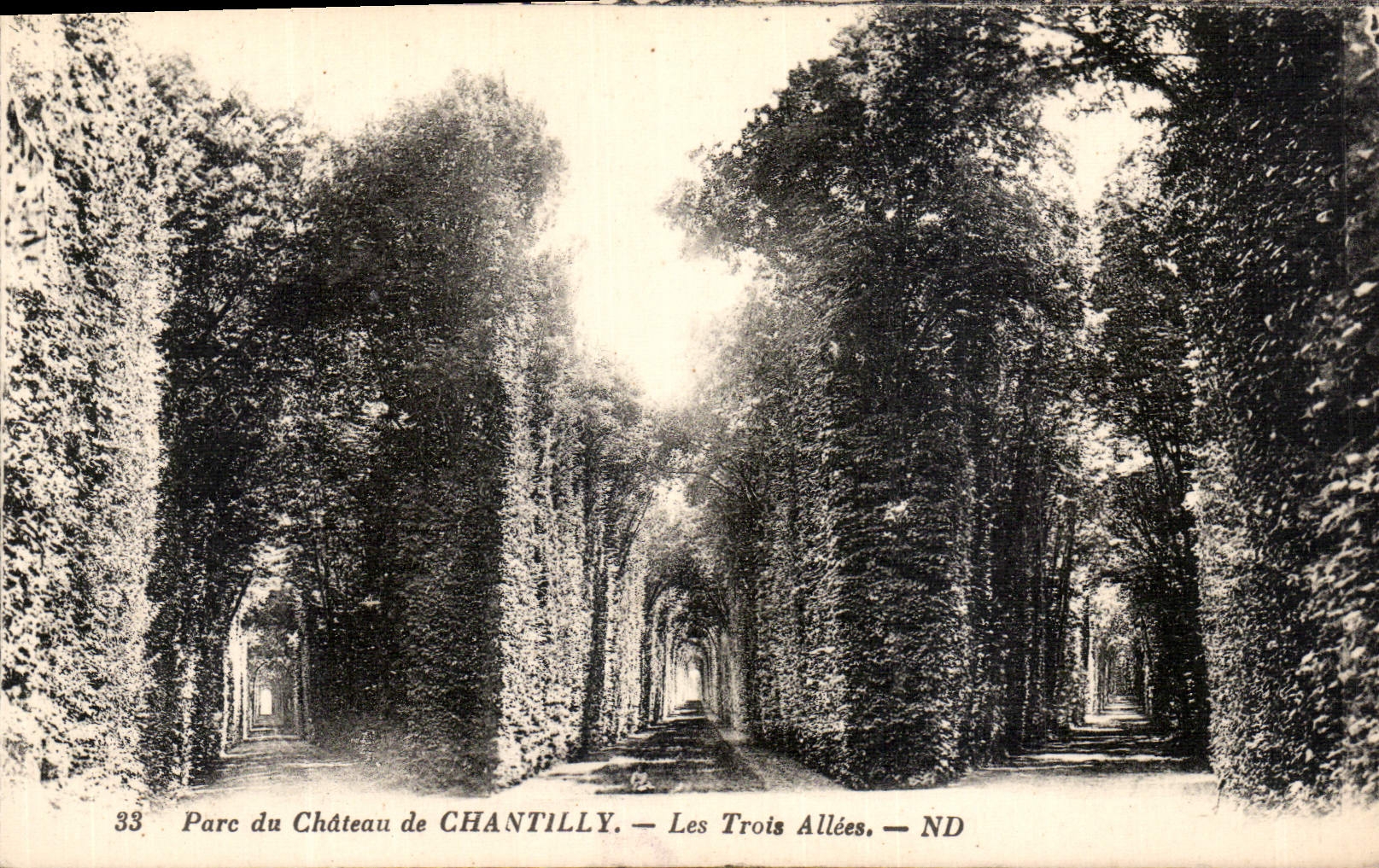 CPA Parc du Chateau de Chantilly les Trois Allees