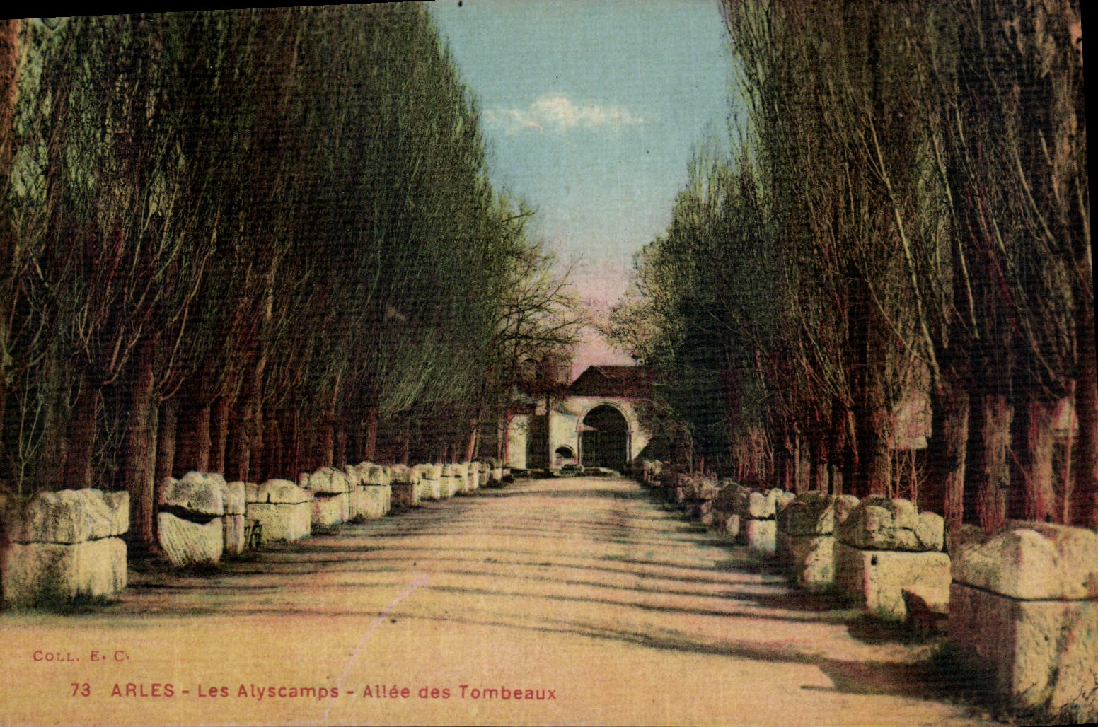 CPA Arles les Alyscamps Allee des Tombeaux 