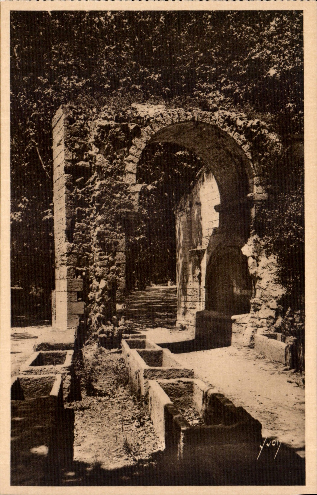 CPA Arles Bouches du Rhone les Aliscamps 
