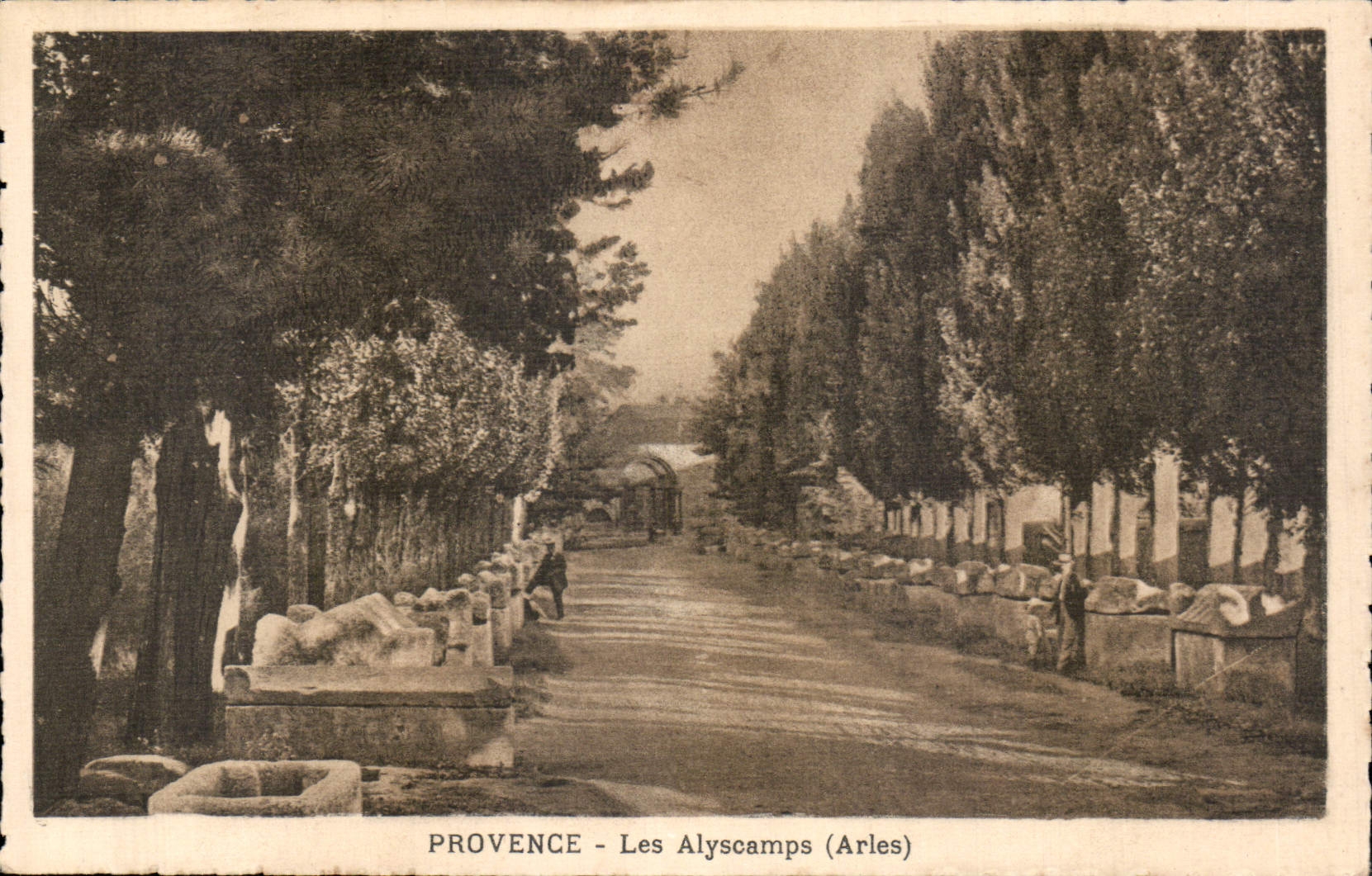 CPA Provence les Alyscamps Arles 
