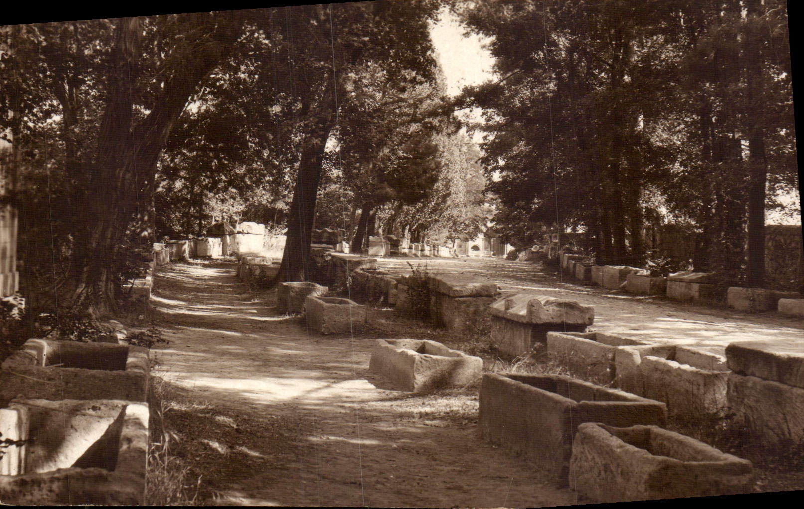 CPA Arles les Alyscamps Allee des  Tombeaux 