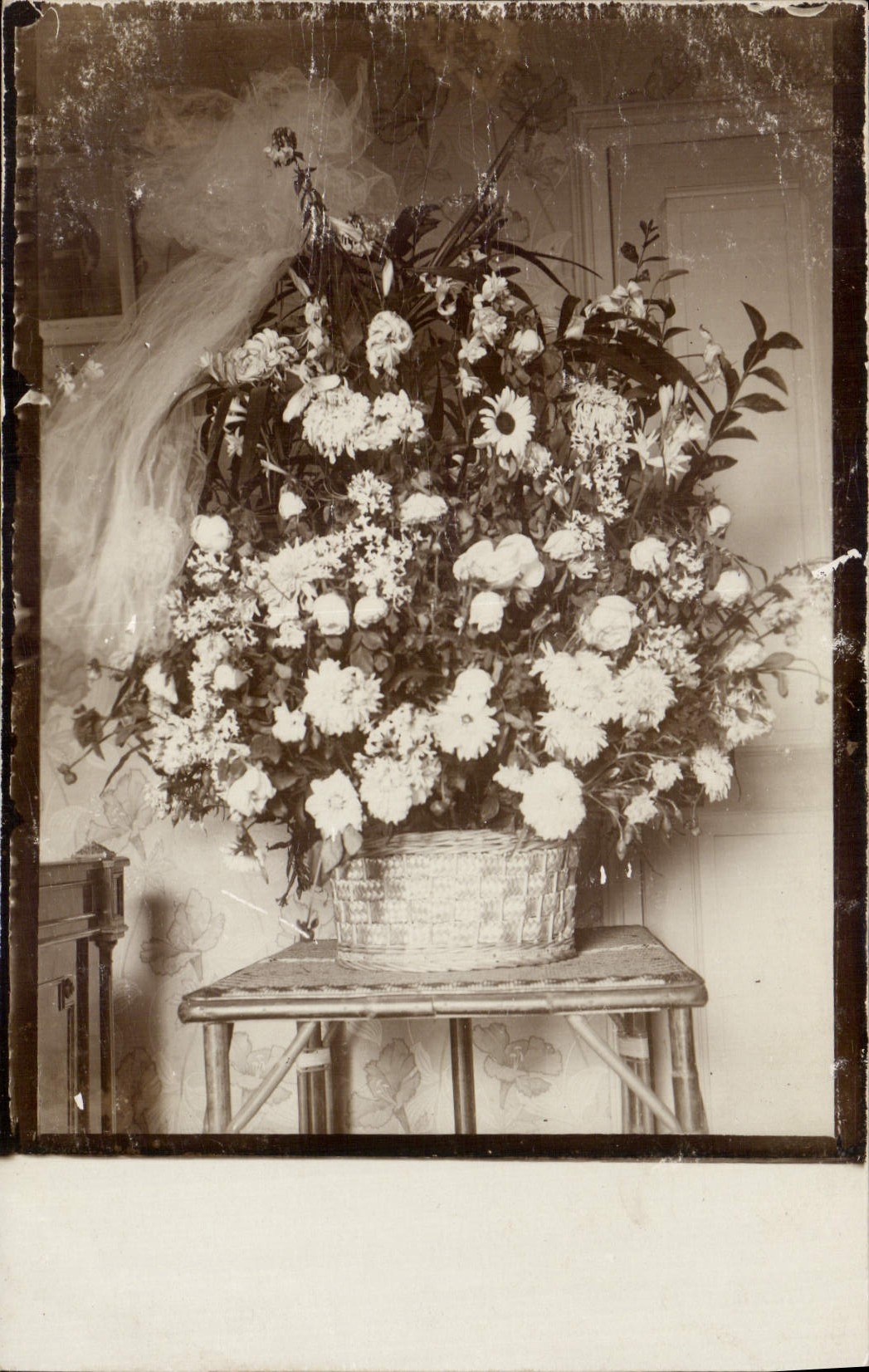 CARTE PHOTO Peinture Fleurs