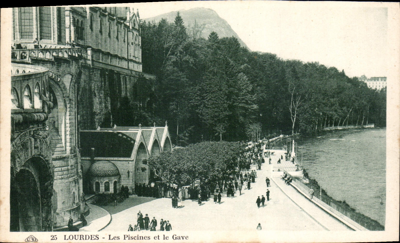 CPA Lourdes les Piscines et le Gave 