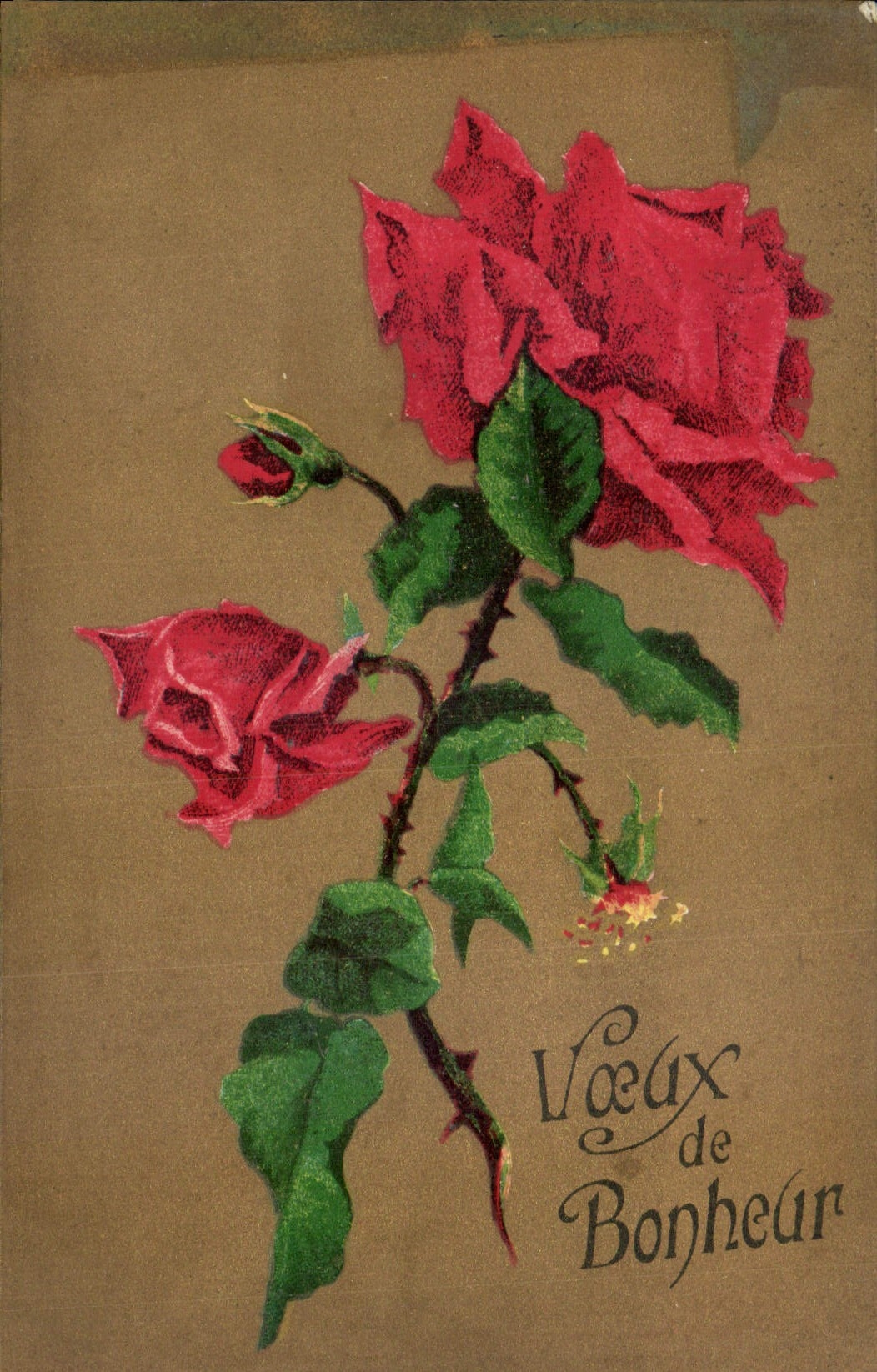 CPA Voeux de Bonheur Fleurs