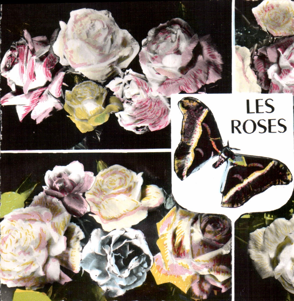 CPA Les roses Fleurs Papillon